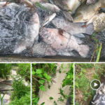 Edited_20250807_102348